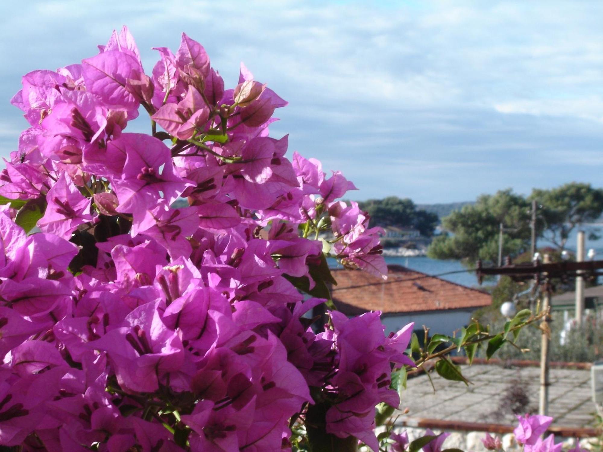 Apartmani Luna Hvar Town Exterior photo
