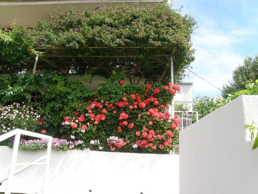 Apartmani Luna Hvar Town Exterior photo