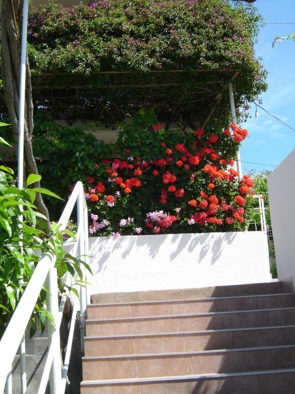 Apartmani Luna Hvar Town Exterior photo