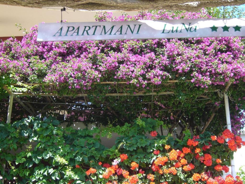 Apartmani Luna Hvar Town Exterior photo
