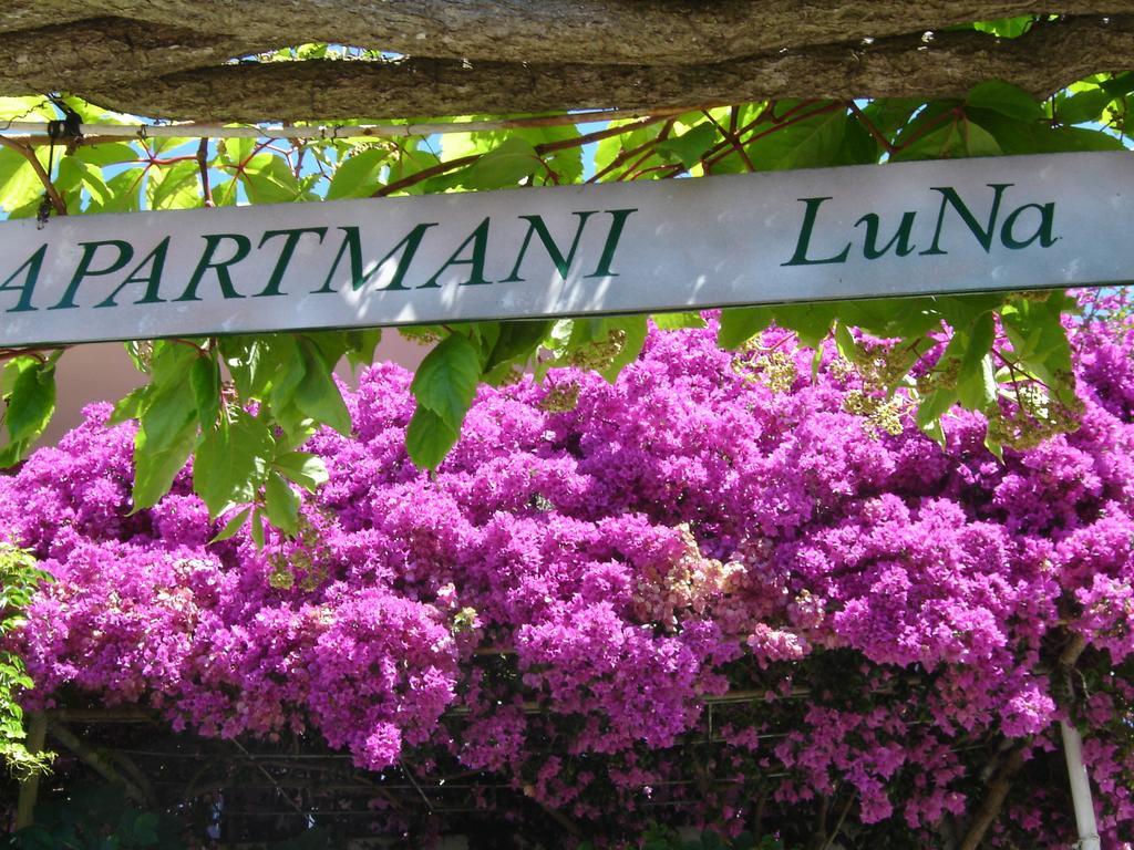 Apartmani Luna Hvar Town Exterior photo